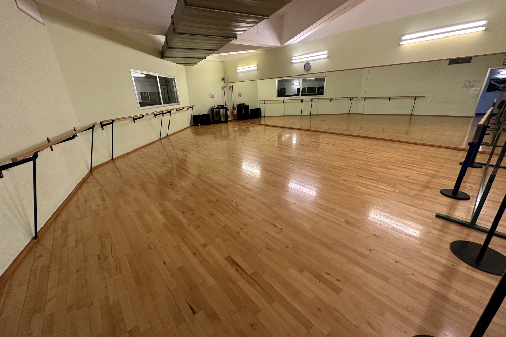 Luna Academy Accademia Professionale per Insegnanti di Danza - Sede Luna Dance Center Scuola di Danza Corso per insegnanti